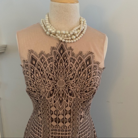 BCBG MaxAzria blush & black lace dress NEW nude - Picture 12 of 16